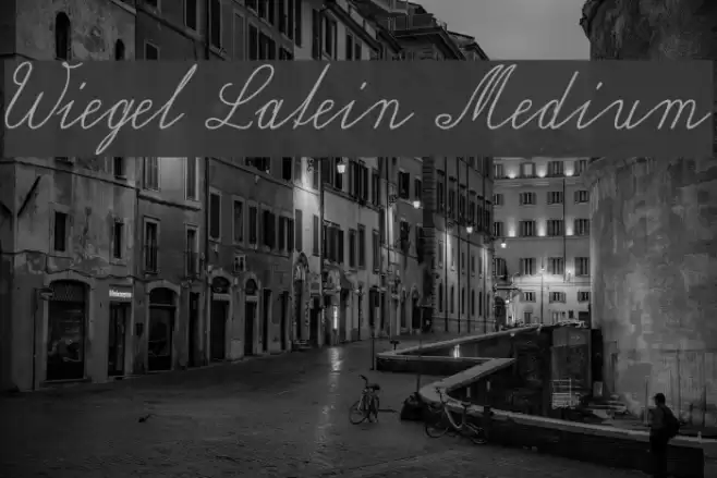 Wiegel Latein Medium Font examples