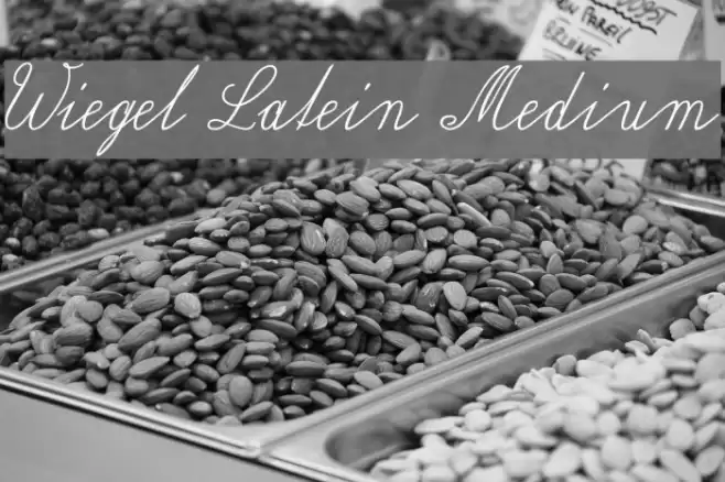 Wiegel Latein Medium Font examples