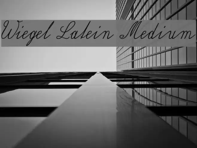 Wiegel Latein Medium Font examples