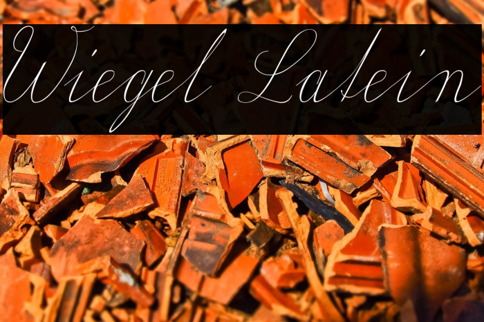 Wiegel Latein Font examples