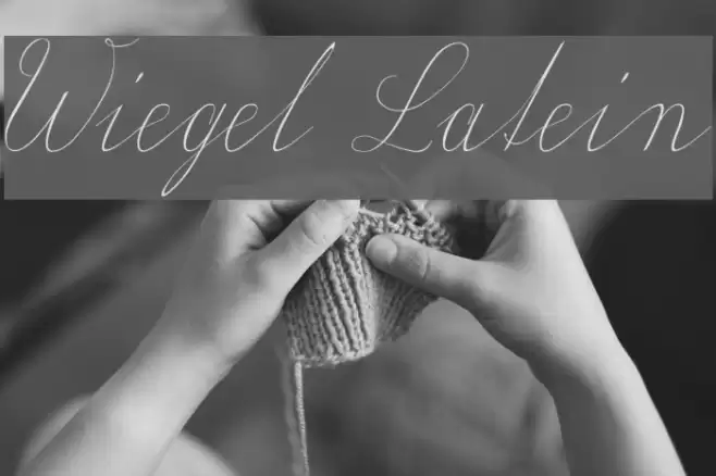 Wiegel Latein Font examples