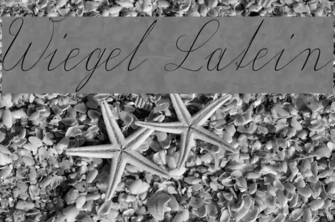 Wiegel Latein Font examples