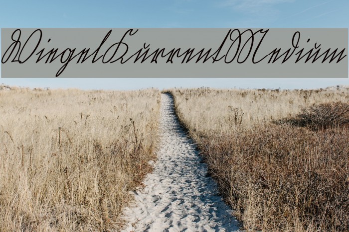 WiegelKurrentMedium Font examples