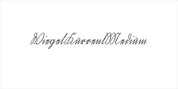 WiegelKurrentMedium Logo