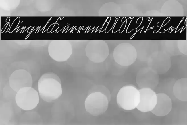 WiegelKurrentUNZ1T-Bold Font examples