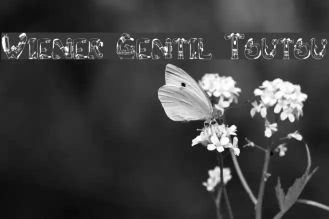 Wiener Gentil Toutou Font examples