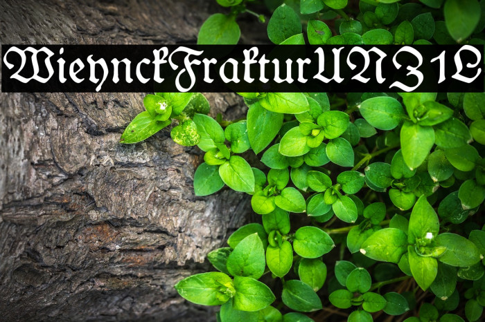 WieynckFrakturUNZ1L Example 1