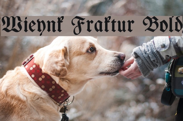 Wieynk Fraktur Bold Font examples
