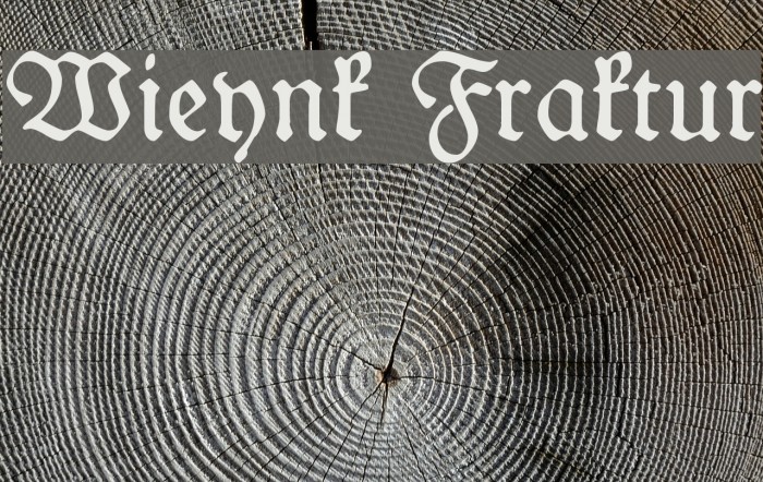 Wieynk Fraktur Example 1