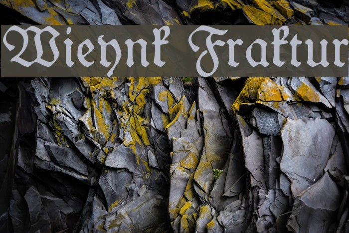 Wieynk Fraktur Example 2