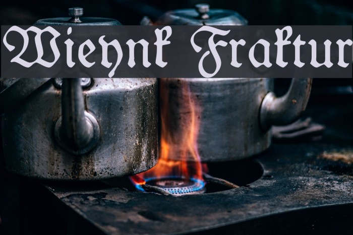 Wieynk Fraktur Example 3