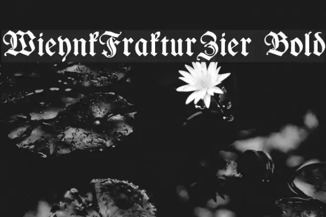 WieynkFrakturZier Bold Font examples