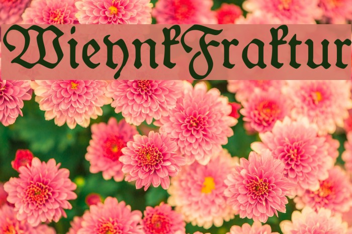 WieynkFraktur Font examples