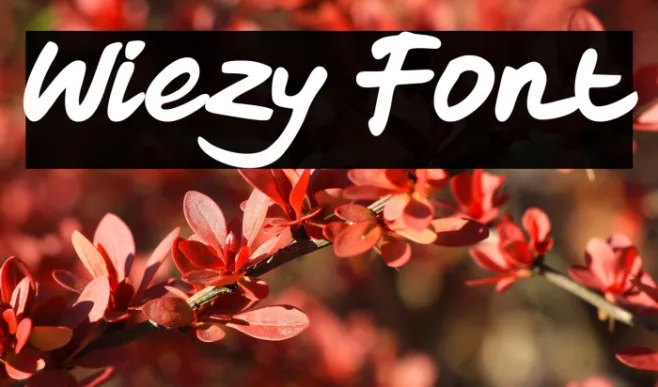 Wiezy Example 2