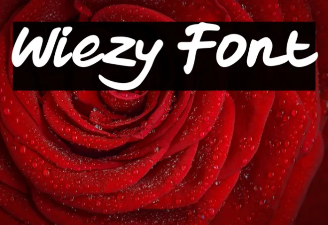 Wiezy Example 3