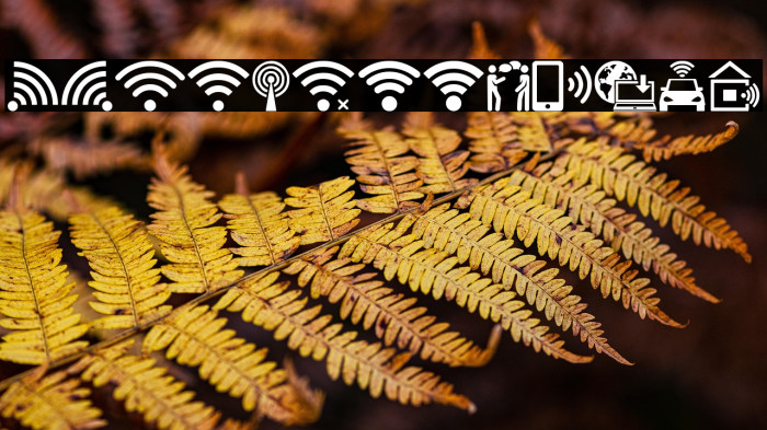 Wifi Icons Example 1