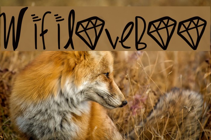 WifiLoveBoo Example 1