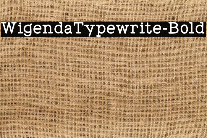 WigendaTypewrite-Bold Example 1
