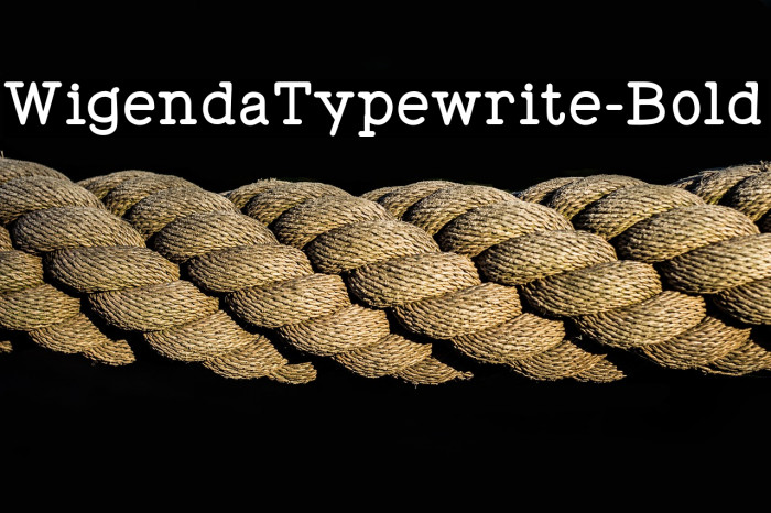 WigendaTypewrite-Bold Example 2