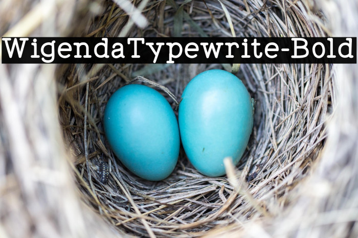 WigendaTypewrite-Bold Example 3