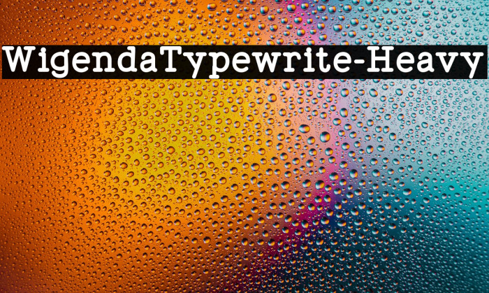 WigendaTypewrite-Heavy Example 2