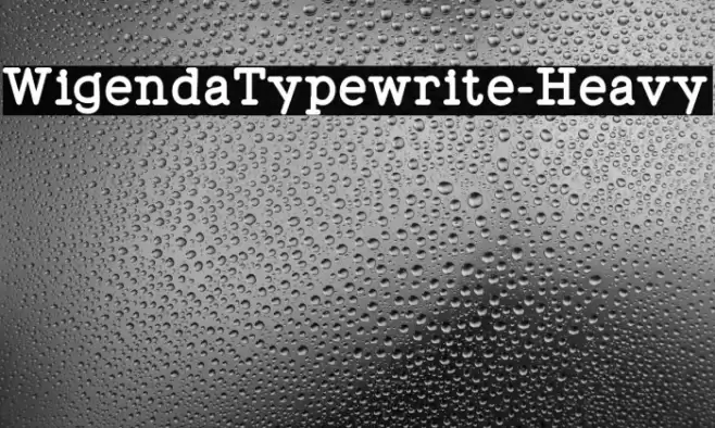 WigendaTypewrite-Heavy Font examples