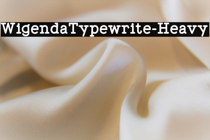 WigendaTypewrite-Heavy Example 3