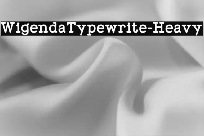 WigendaTypewrite-Heavy Font examples
