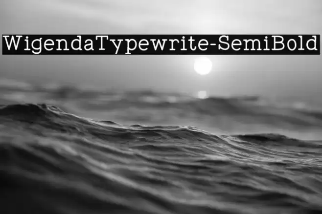 WigendaTypewrite-SemiBold Font examples