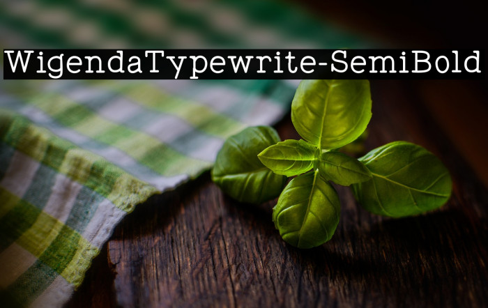 WigendaTypewrite-SemiBold Example 3