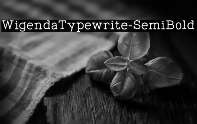 WigendaTypewrite-SemiBold Font examples
