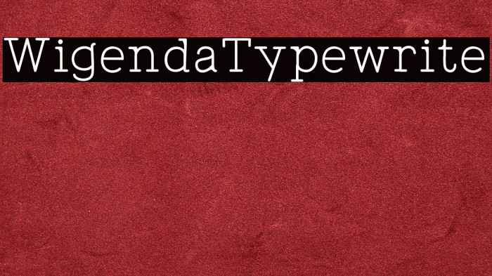 WigendaTypewrite Example 1