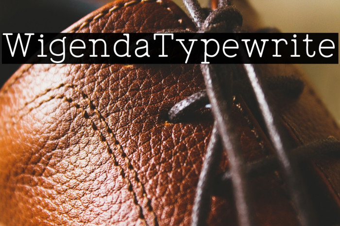 WigendaTypewrite Example 2