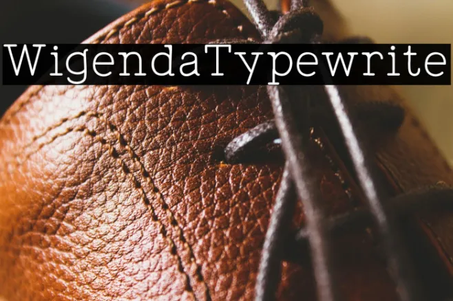 WigendaTypewrite Example 2