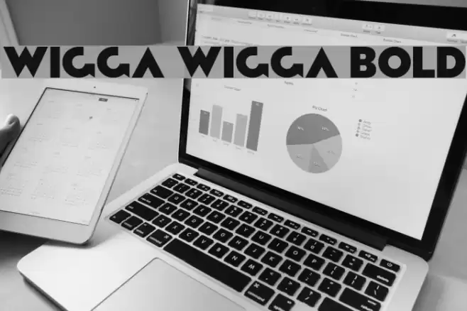 Wigga Wigga Bold Font examples