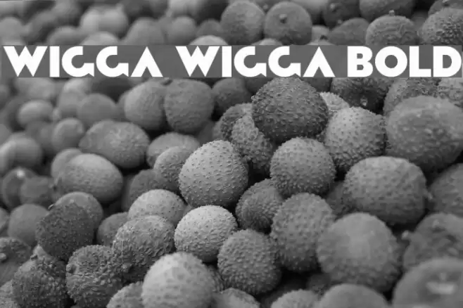 Wigga Wigga Bold Font examples