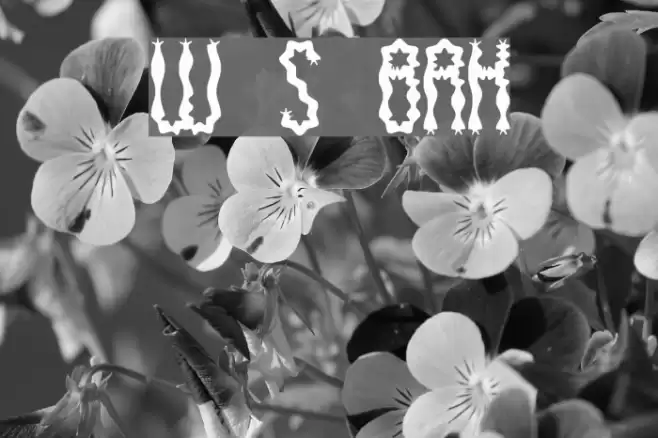 Wiggly Squiggly BRK Font examples