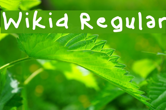 Wikid Regular Font examples