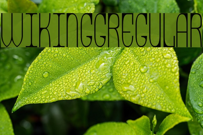 Wikingg-Regular Font examples