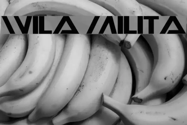 Wila Milita Font examples