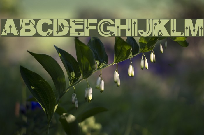 Wild Arrows Font examples