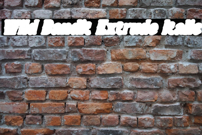 Wild Bandit Extrude Italic Example 1