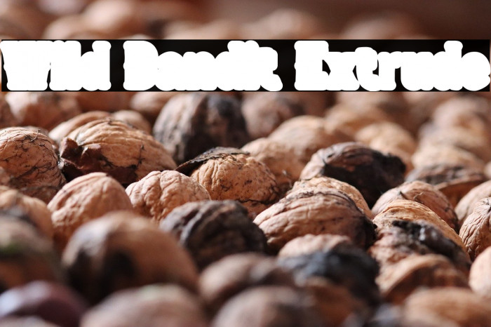 Wild Bandit Extrude Example 1