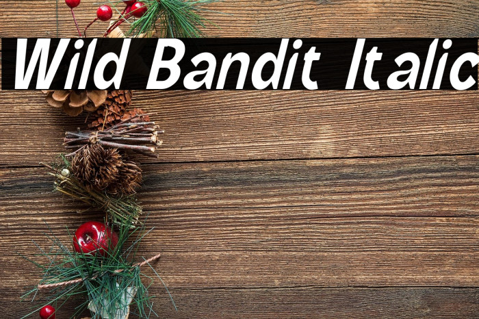 Wild Bandit Italic Example 1