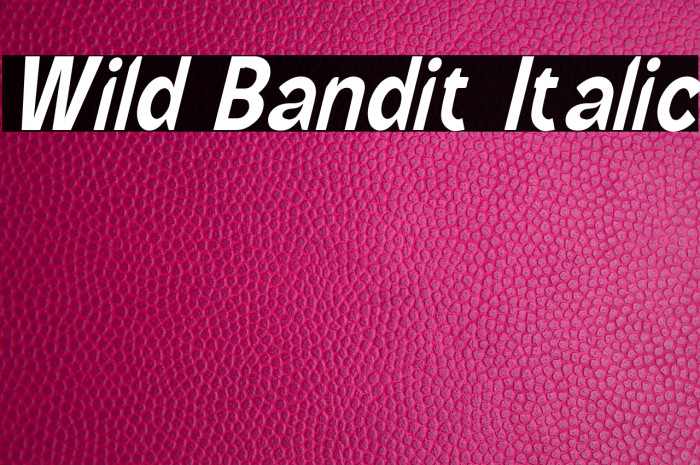 Wild Bandit Italic Example 2