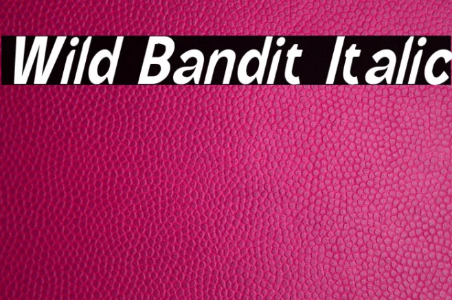 Wild Bandit Italic Example 2