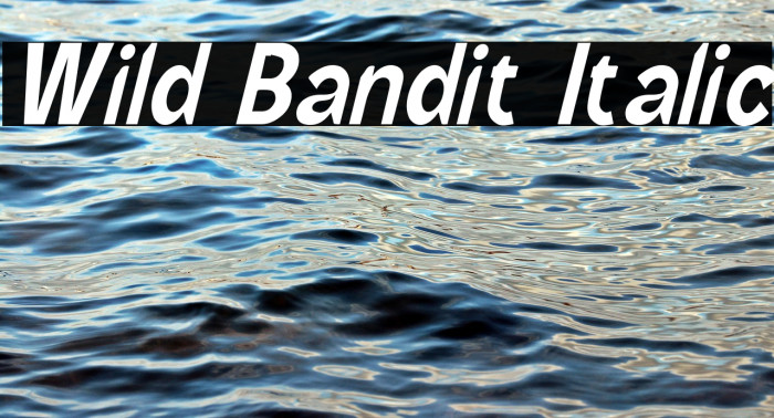 Wild Bandit Italic Example 3
