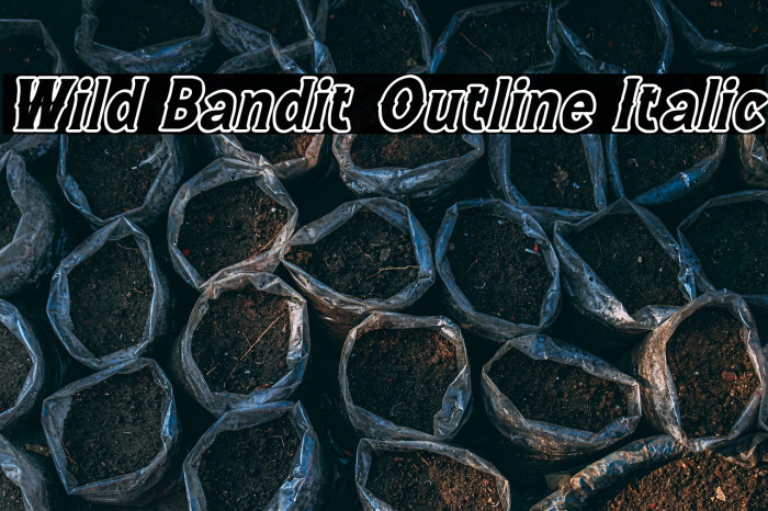 Wild Bandit Outline Italic Example 1