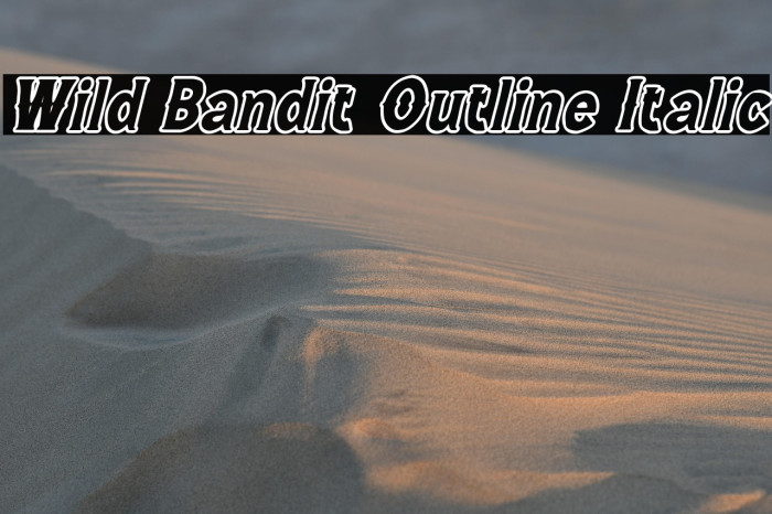 Wild Bandit Outline Italic Example 3