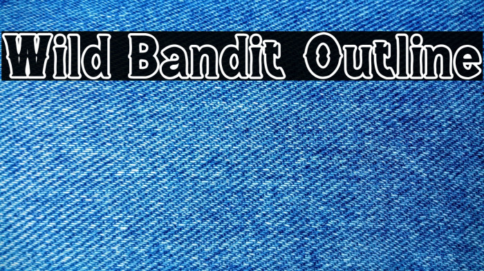 Wild Bandit Outline Example 3